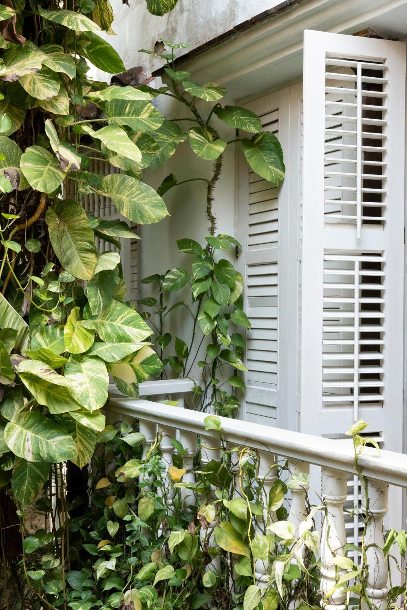 Hotel Amarla Boutique