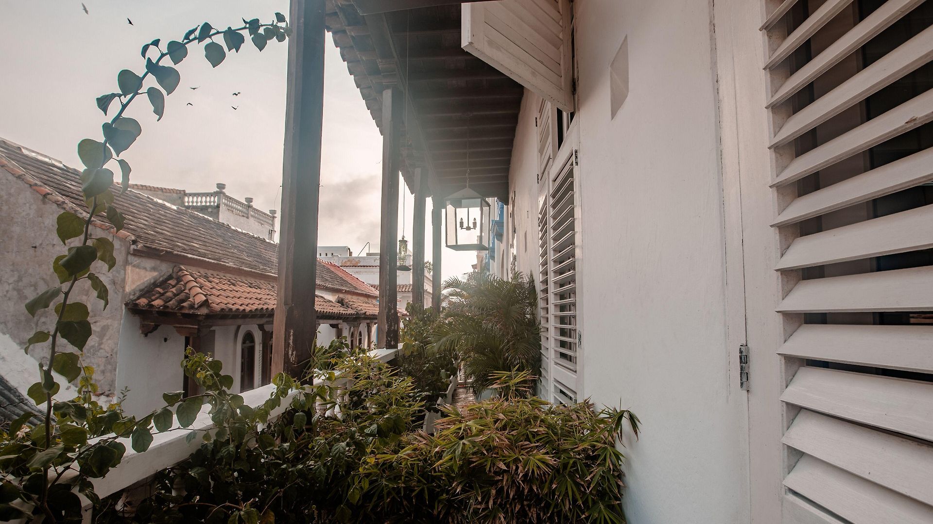 Amarla Boutique Hotel 5*