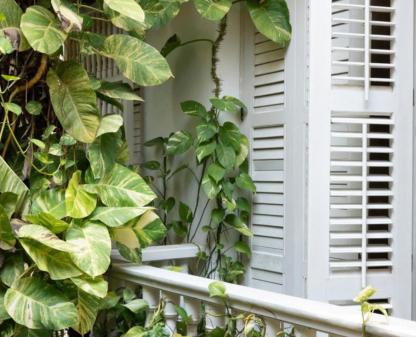 Hotel Amarla Boutique