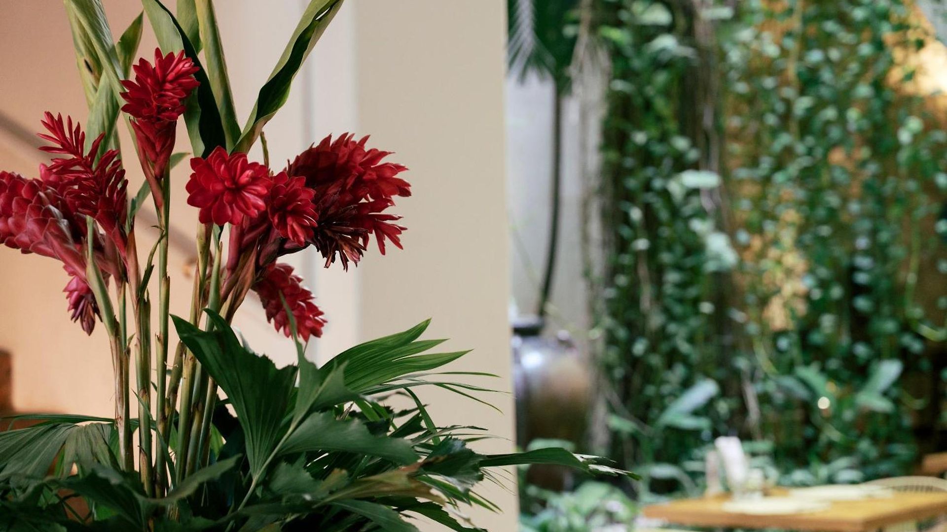 Hotel Amarla Boutique