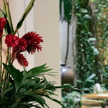 Hotel Amarla Boutique