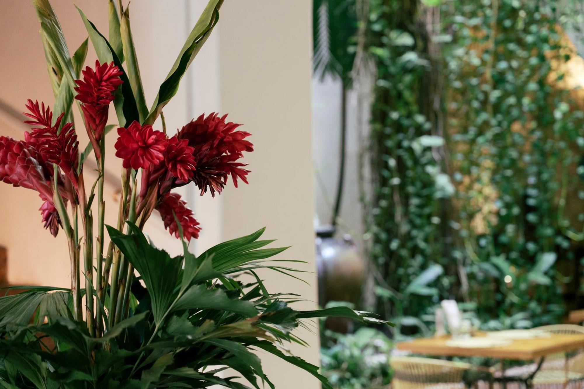 Hotel Amarla Boutique